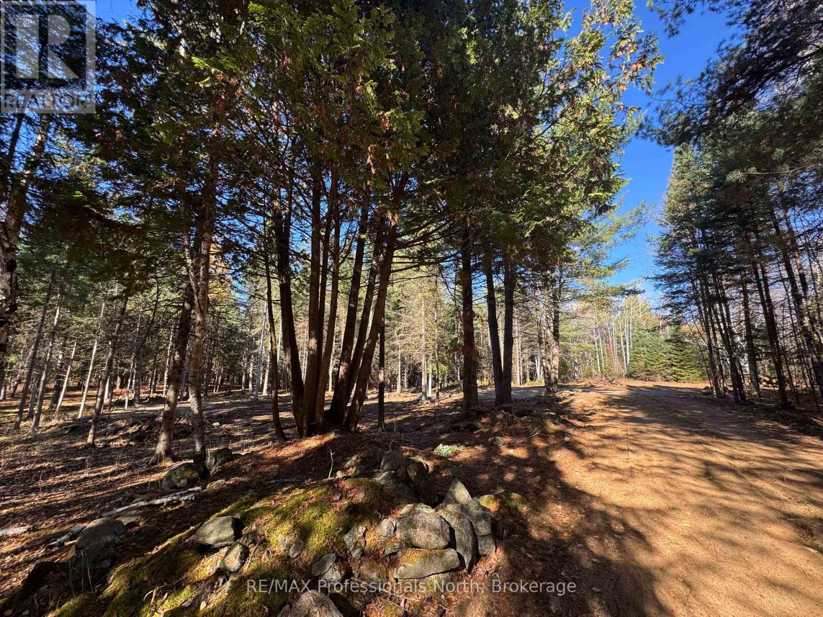 1897 Blairhampton Road, Minden Hills, Ontario K0M 2K0 - Photo 8 - X12196393