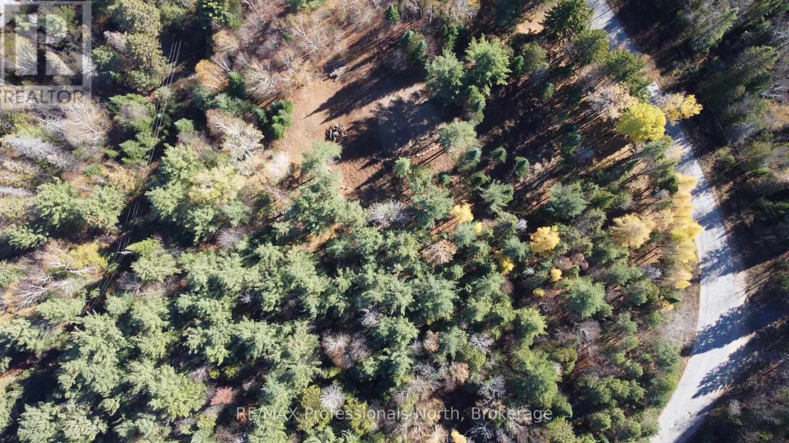 1897 Blairhampton Road, Minden Hills, Ontario K0M 2K0 - Photo 39 - X12196393