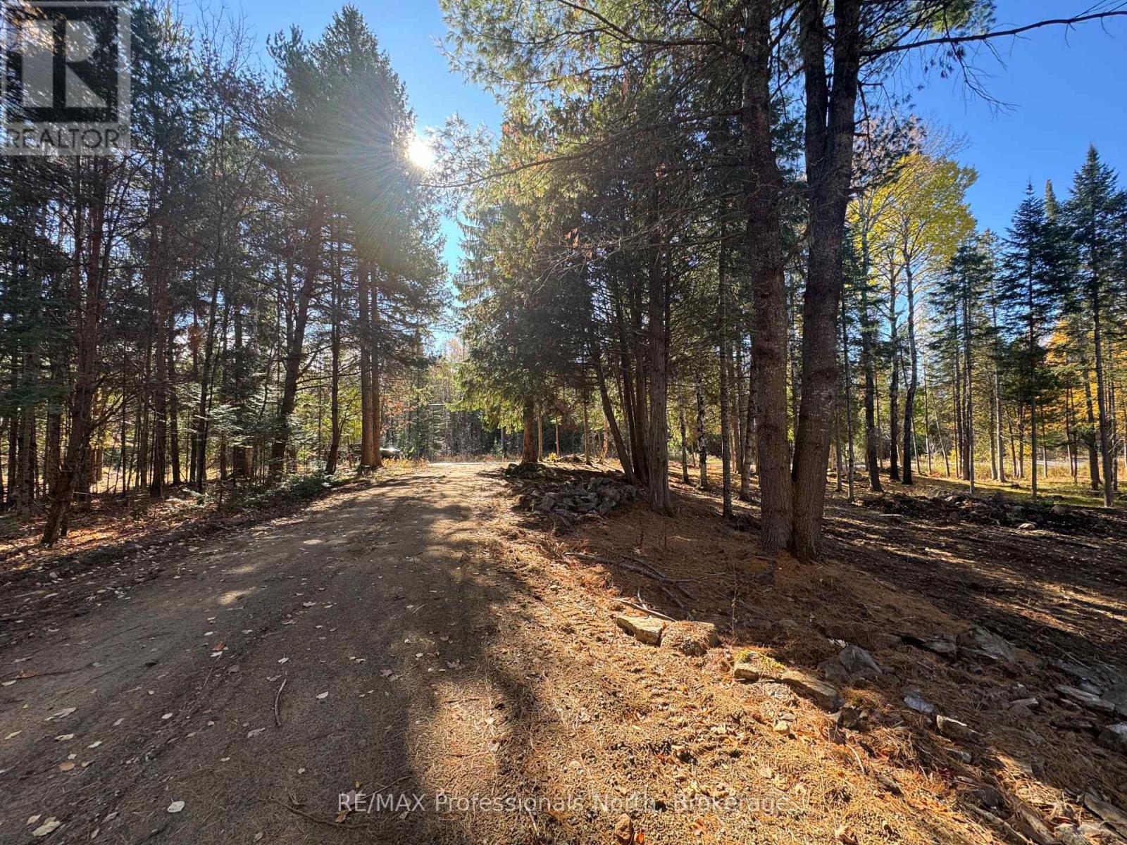 1897 Blairhampton Road, Minden Hills, Ontario K0M 2K0 - Photo 9 - X12196393