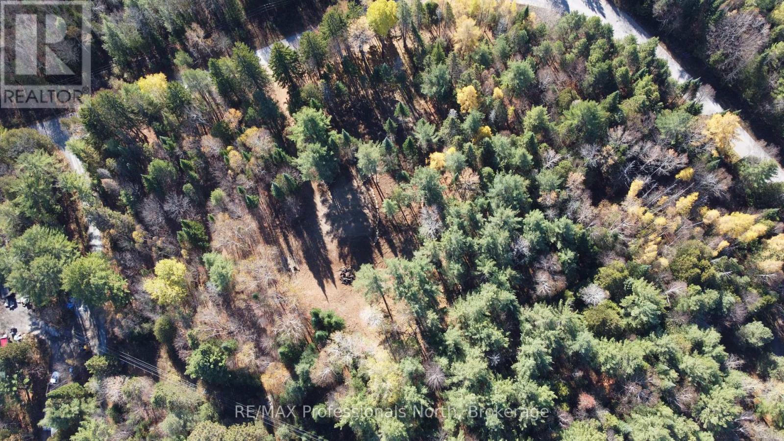 1897 Blairhampton Road, Minden Hills, Ontario K0M 2K0 - Photo 45 - X12196393