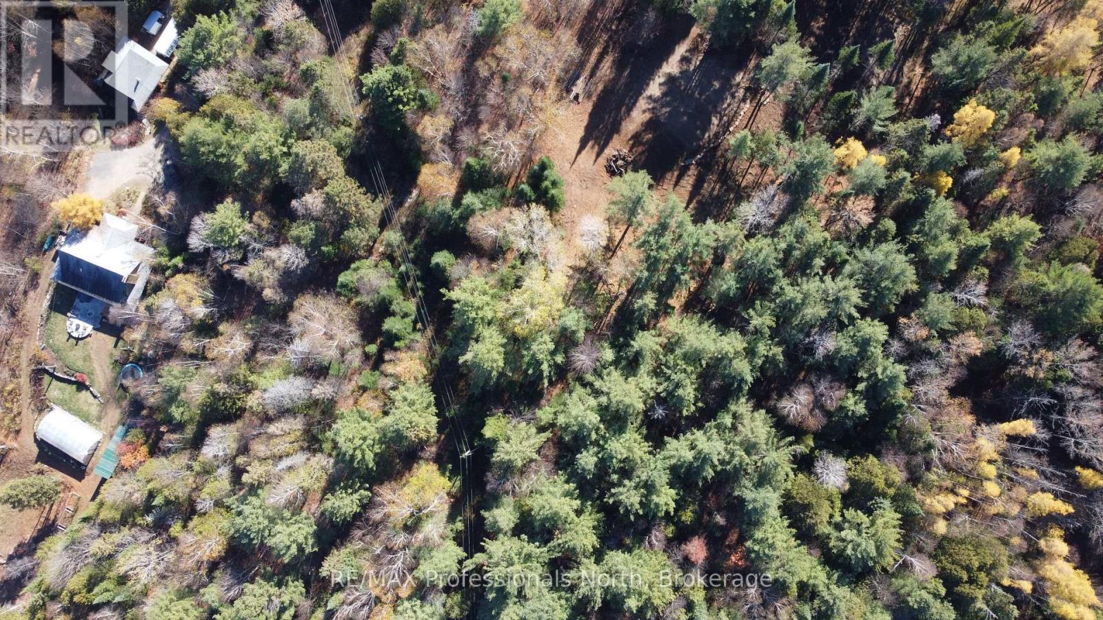 1897 Blairhampton Road, Minden Hills, Ontario K0M 2K0 - Photo 40 - X12196393