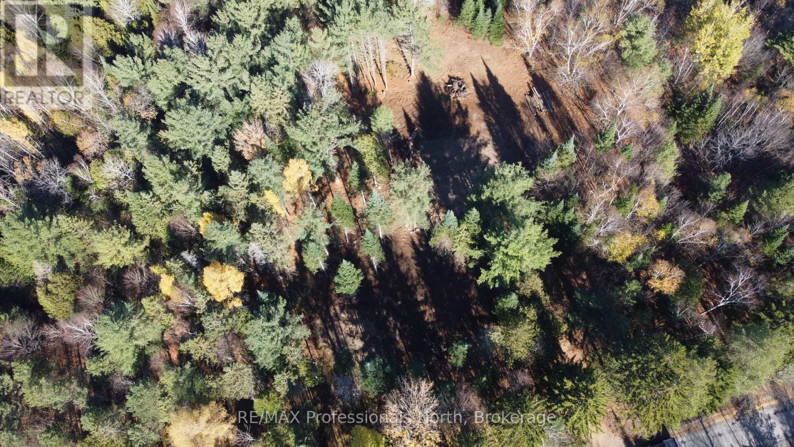 1897 Blairhampton Road, Minden Hills, Ontario K0M 2K0 - Photo 48 - X12196393