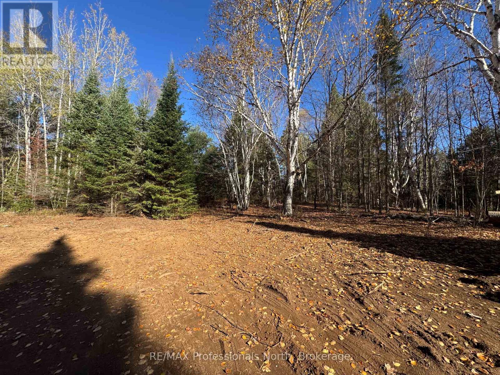 1897 Blairhampton Road, Minden Hills, Ontario K0M 2K0 - Photo 5 - X12196393