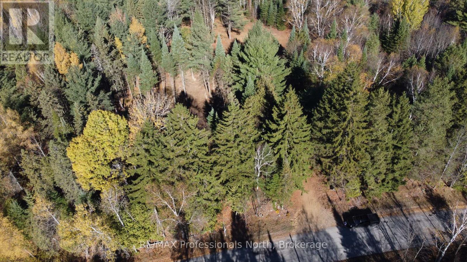 1897 Blairhampton Road, Minden Hills, Ontario K0M 2K0 - Photo 42 - X12196393