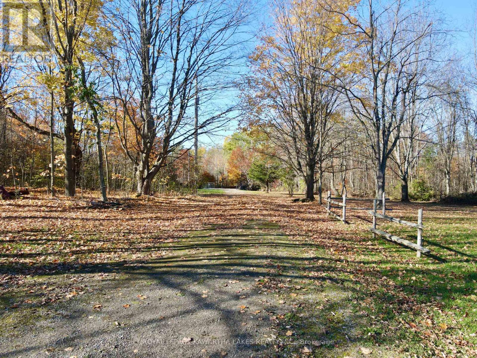 1721 Newton Street, Tay, Ontario  L0K 1N0 - Photo 45 - S12490278