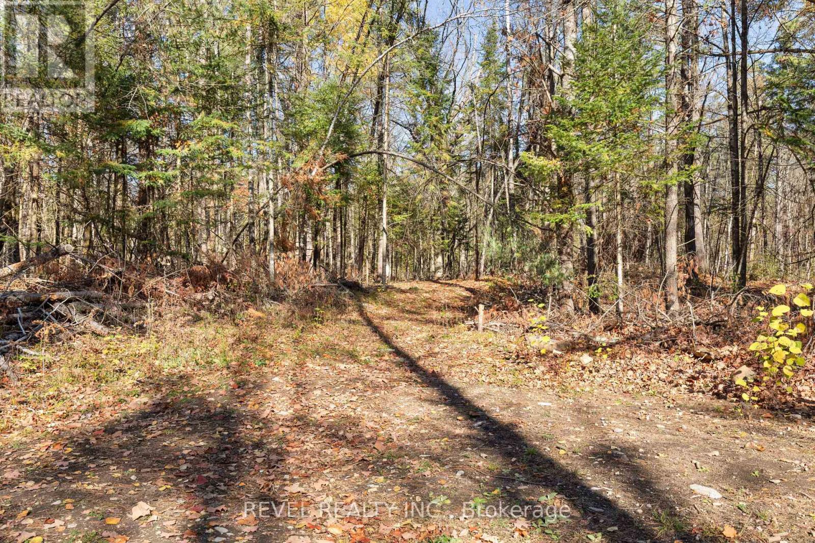 2371 County Rd 48 Road, Kawartha Lakes, Ontario K0M 2B0 - Photo 46 - X12490432