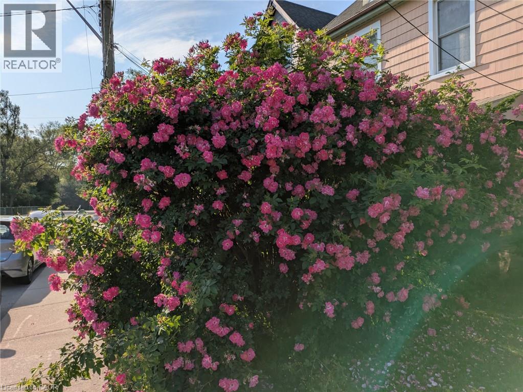 24 Hunt Street, Hamilton, Ontario  L8R 1R2 - Photo 20 - 40784151