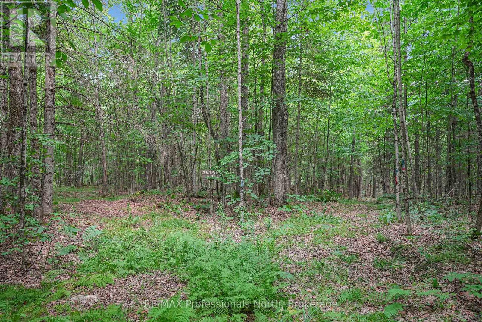 1453 Minnicock Lake Road, Dysart Et Al, Ontario  K0M 1S0 - Photo 40 - X12490266