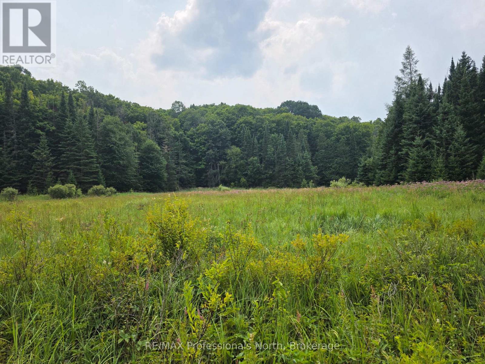 1453 Minnicock Lake Road, Dysart Et Al, Ontario  K0M 1S0 - Photo 46 - X12490266