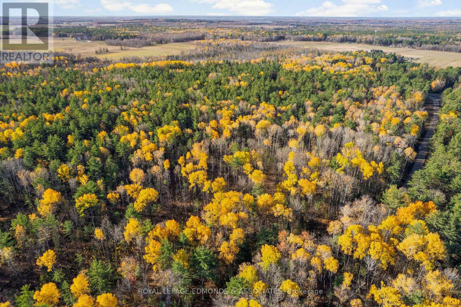 00 Nangor Trail, Whitewater Region, Ontario K0J 2L0 - Photo 10 - X12381816
