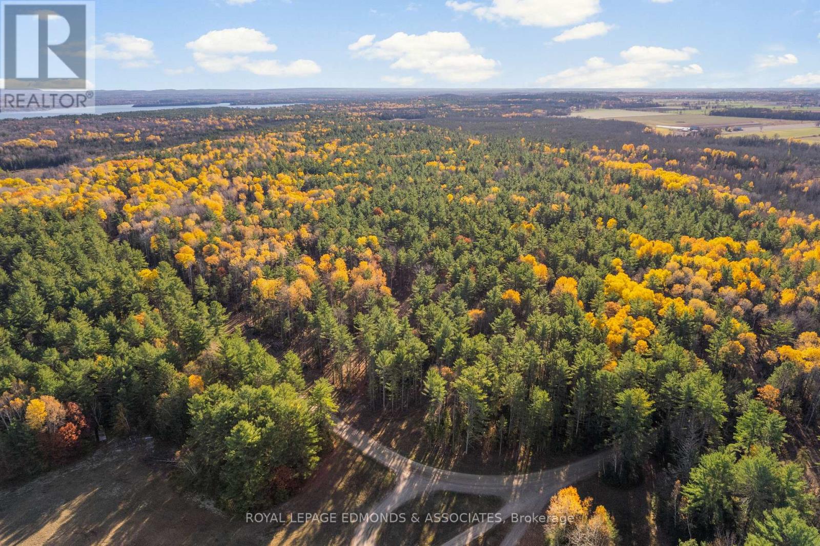 00 Nangor Trail, Whitewater Region, Ontario K0J 2L0 - Photo 2 - X12381816