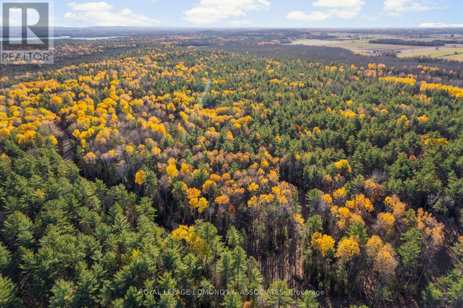 00 Nangor Trail, Whitewater Region, Ontario K0J 2L0 - Photo 9 - X12381816