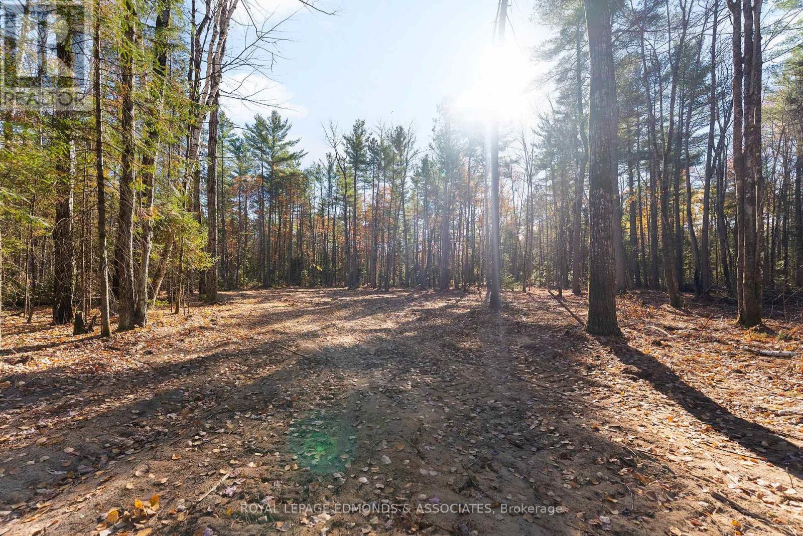 00 Nangor Trail, Whitewater Region, Ontario K0J 2L0 - Photo 7 - X12381816