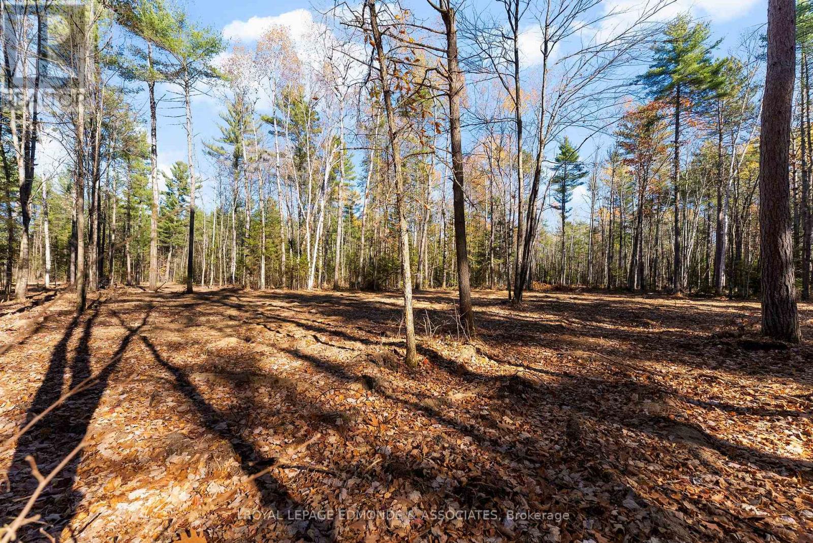 00 Nangor Trail, Whitewater Region, Ontario K0J 2L0 - Photo 8 - X12381816