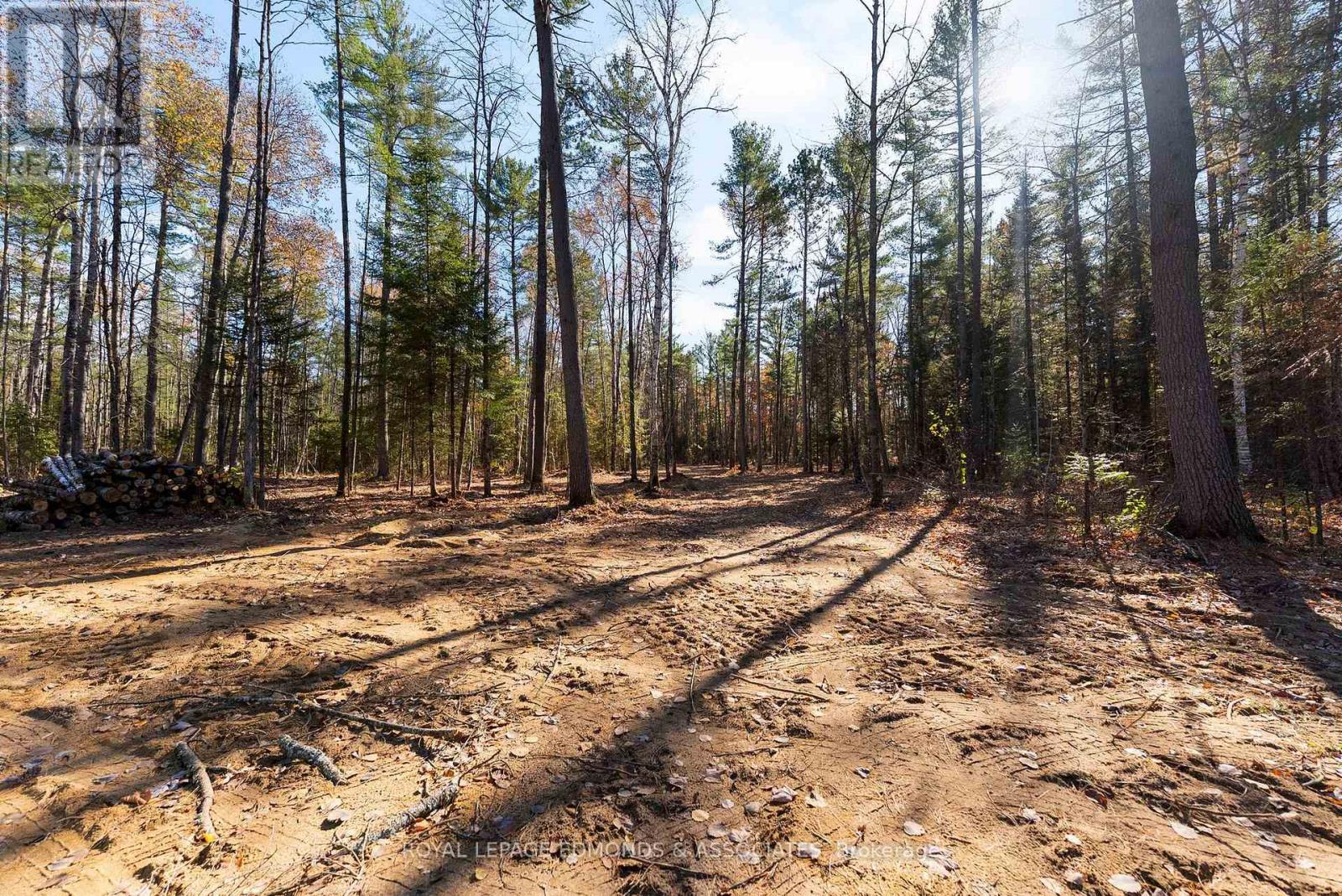 00 Nangor Trail, Whitewater Region, Ontario K0J 2L0 - Photo 6 - X12381816