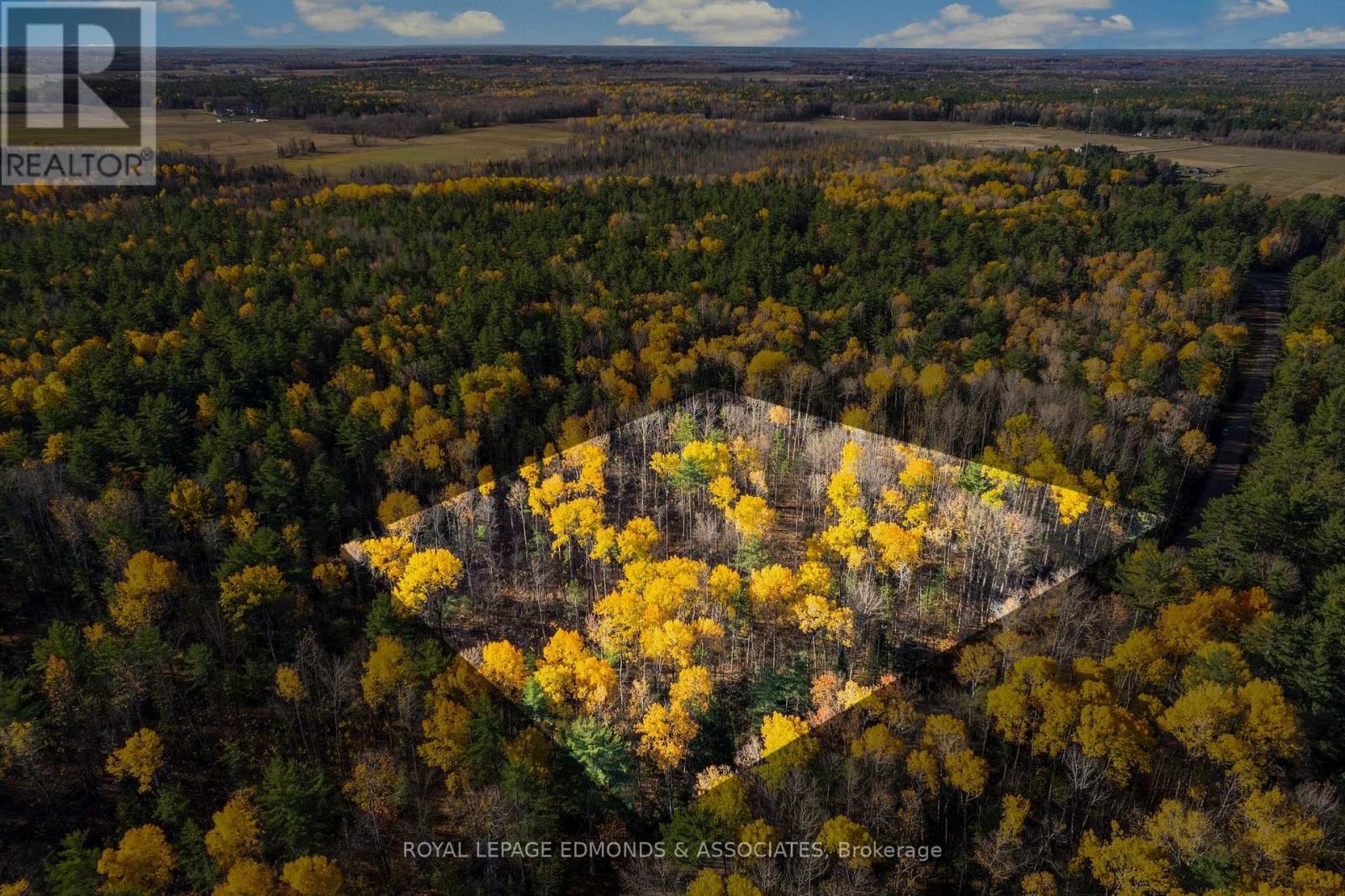 000 Nangor Trail, Whitewater Region, Ontario K0J 2L0 - Photo 1 - X12381835