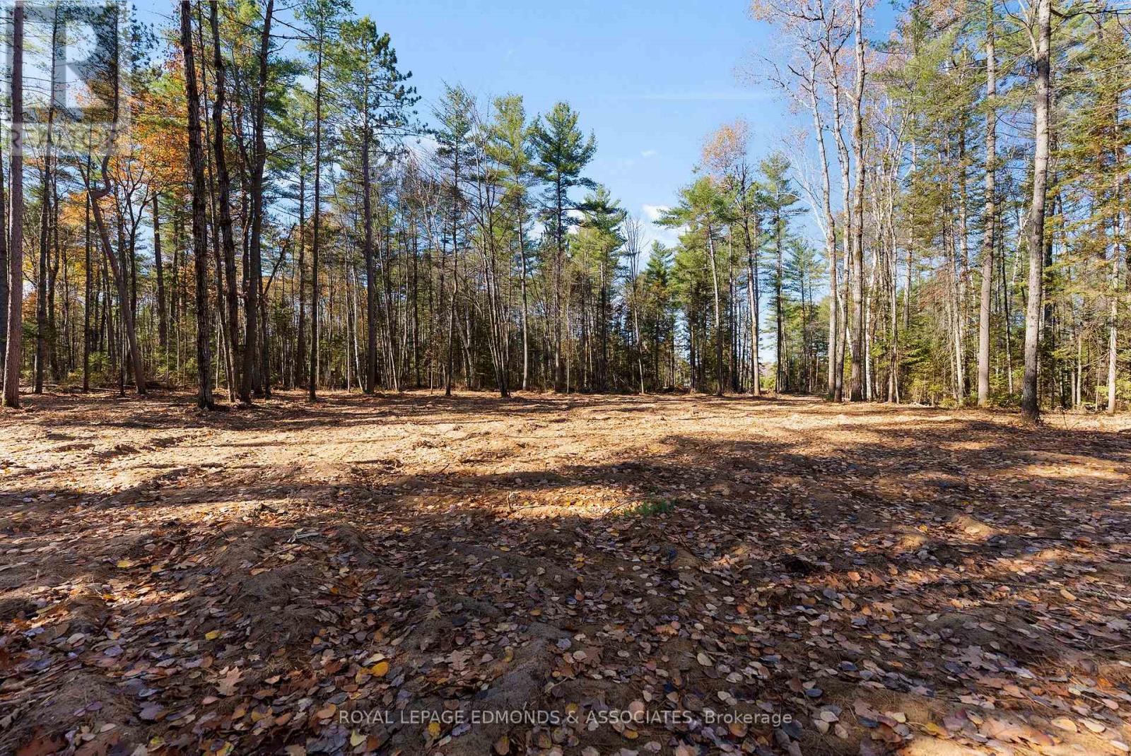 000 Nangor Trail, Whitewater Region, Ontario K0J 2L0 - Photo 7 - X12381835