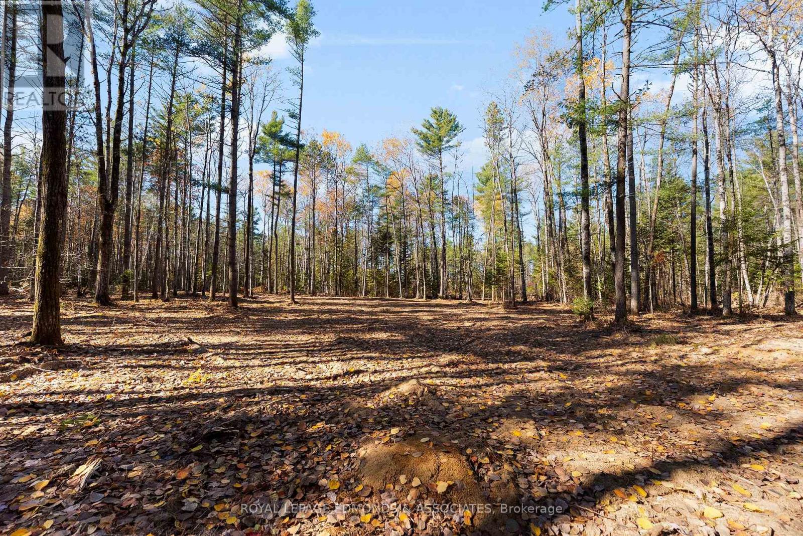 000 Nangor Trail, Whitewater Region, Ontario K0J 2L0 - Photo 9 - X12381835