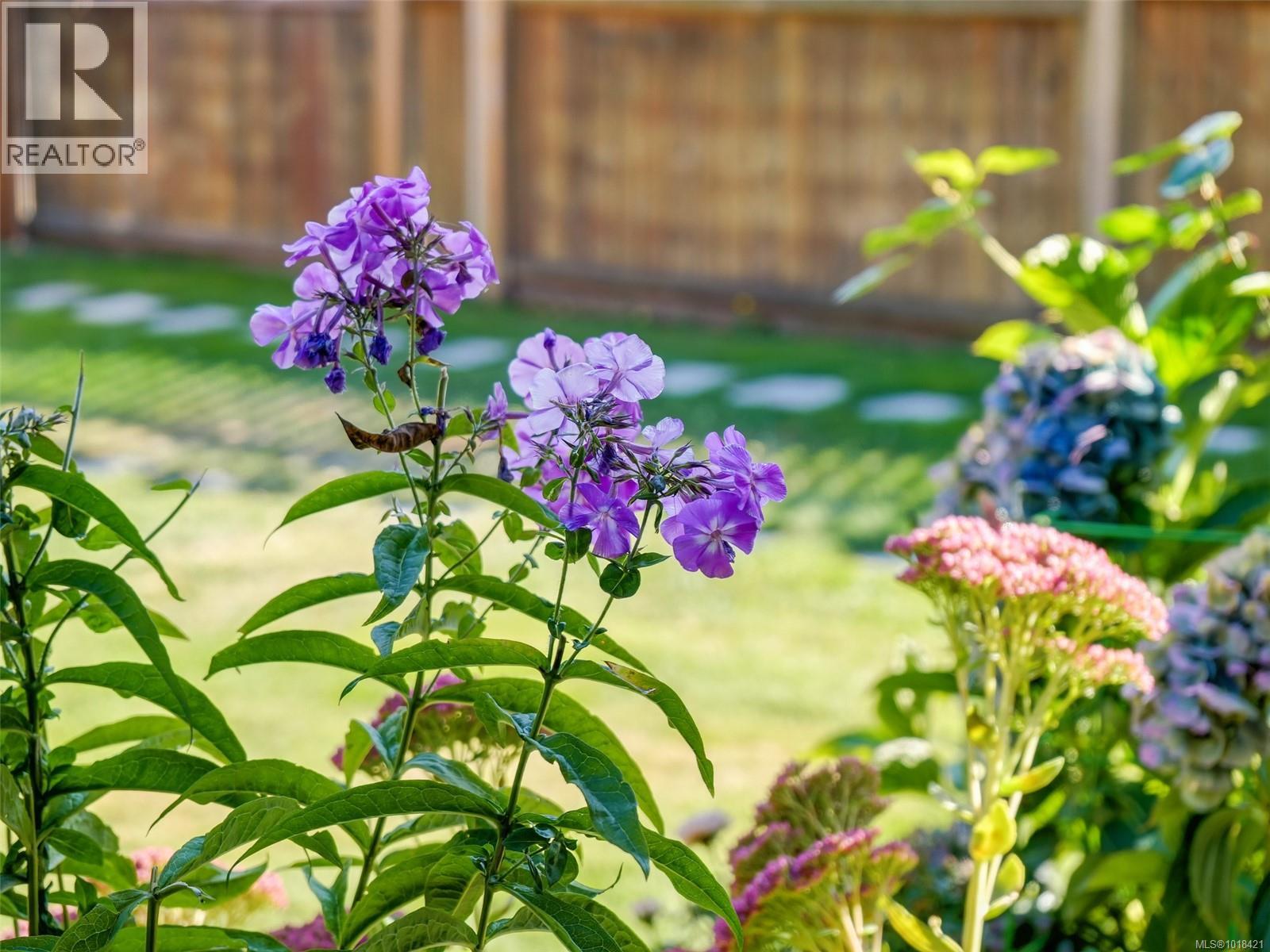 3506 Happy Valley Rd, Langford, British Columbia  V9C 0K6 - Photo 39 - 1018421