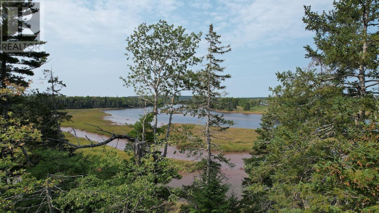 24-4 Highway 321 Highway, Roslin, Nova Scotia  B0M 1P0 - Photo 18 - 202422997