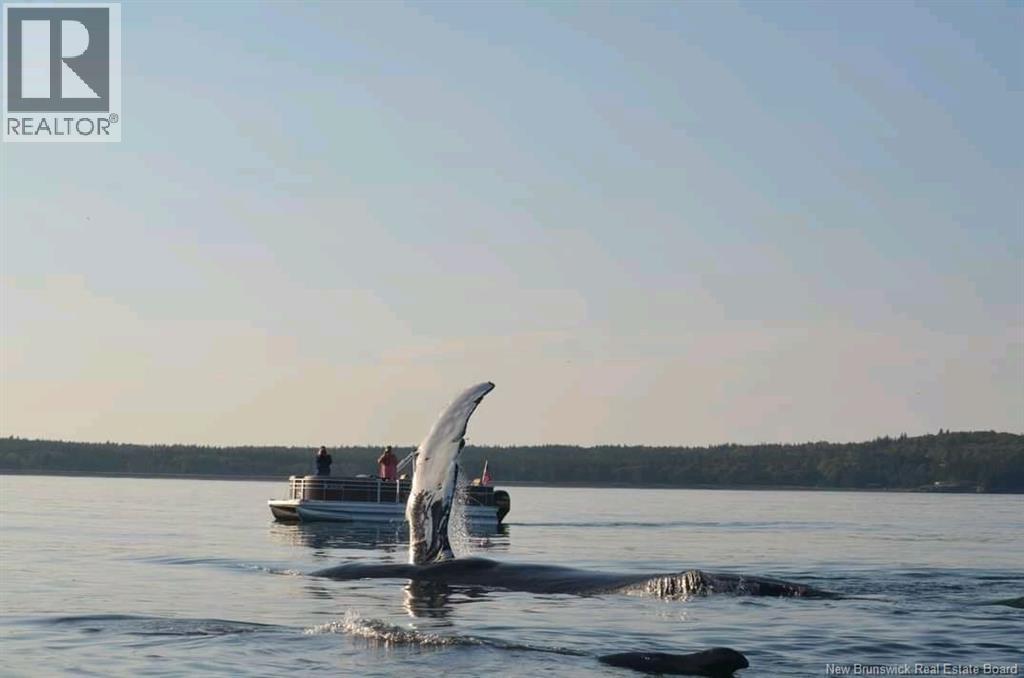 868 Fundy Drive, Wilsons Beach, New Brunswick  E5E 1X5 - Photo 48 - NB128363