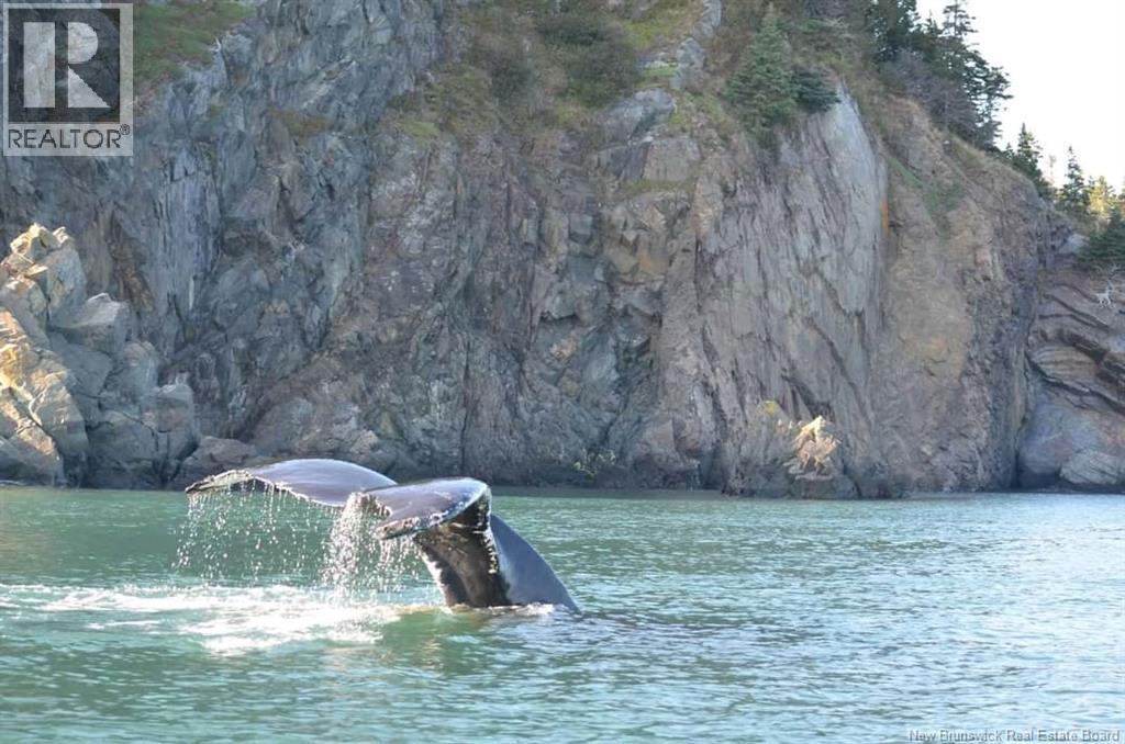 868 Fundy Drive, Wilsons Beach, New Brunswick  E5E 1X5 - Photo 49 - NB128363