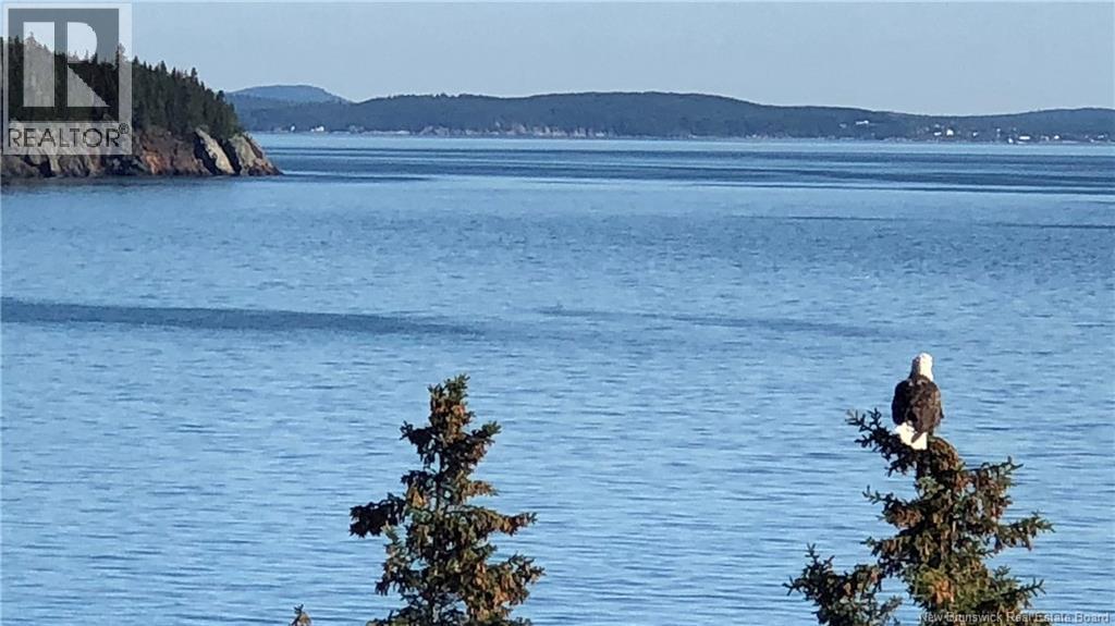 868 Fundy Drive, Wilsons Beach, New Brunswick  E5E 1X5 - Photo 50 - NB128363