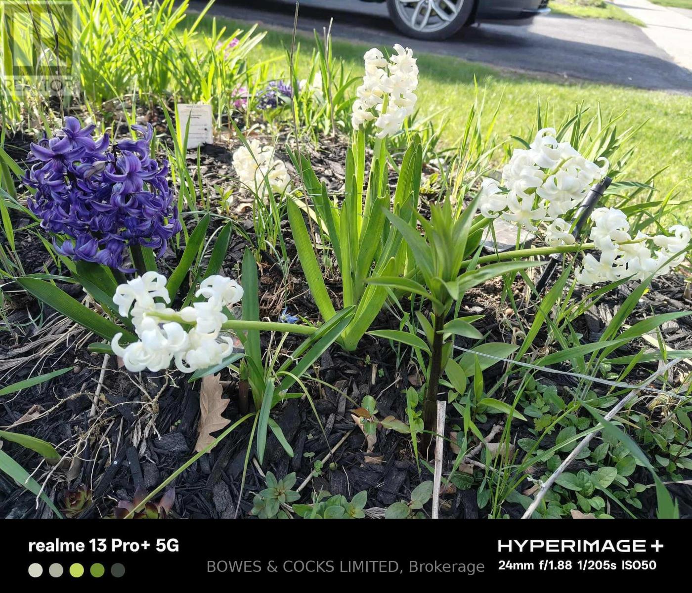 210 Farrier Crescent, Peterborough, Ontario K9L 0A6 - Photo 47 - X12489970