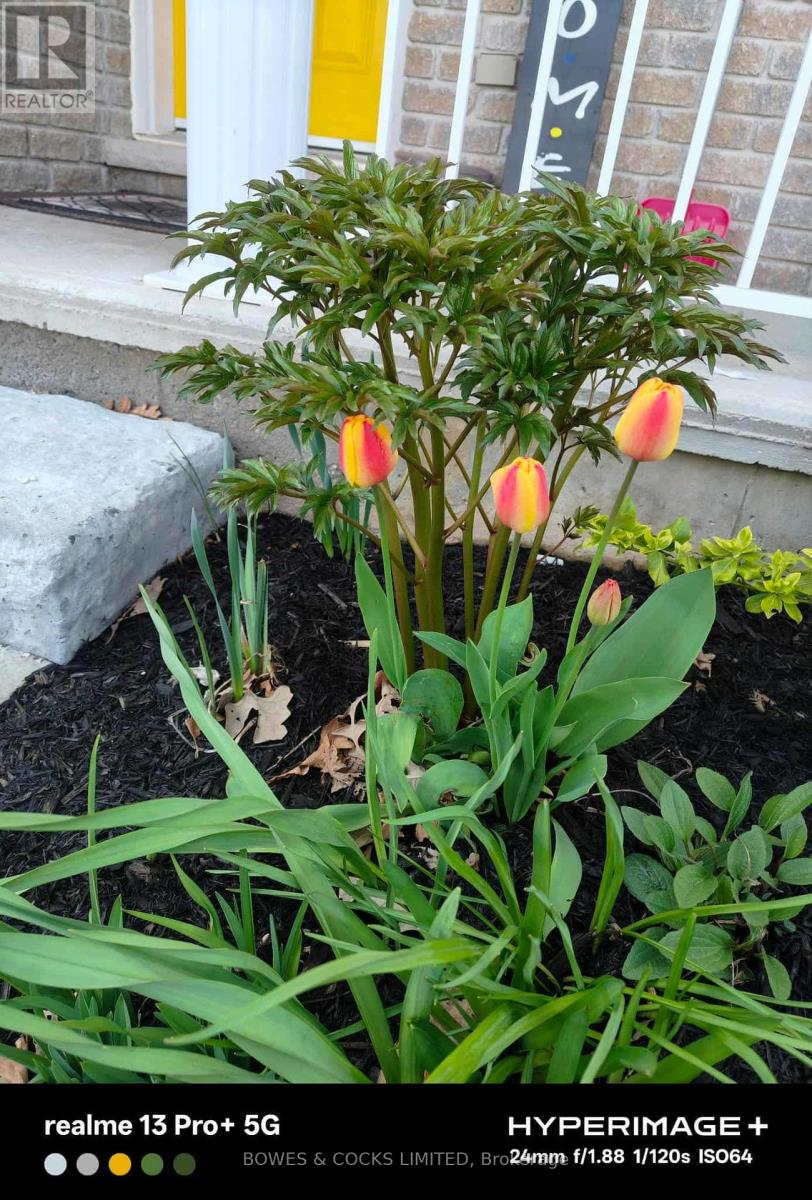 210 Farrier Crescent, Peterborough, Ontario K9L 0A6 - Photo 45 - X12489970