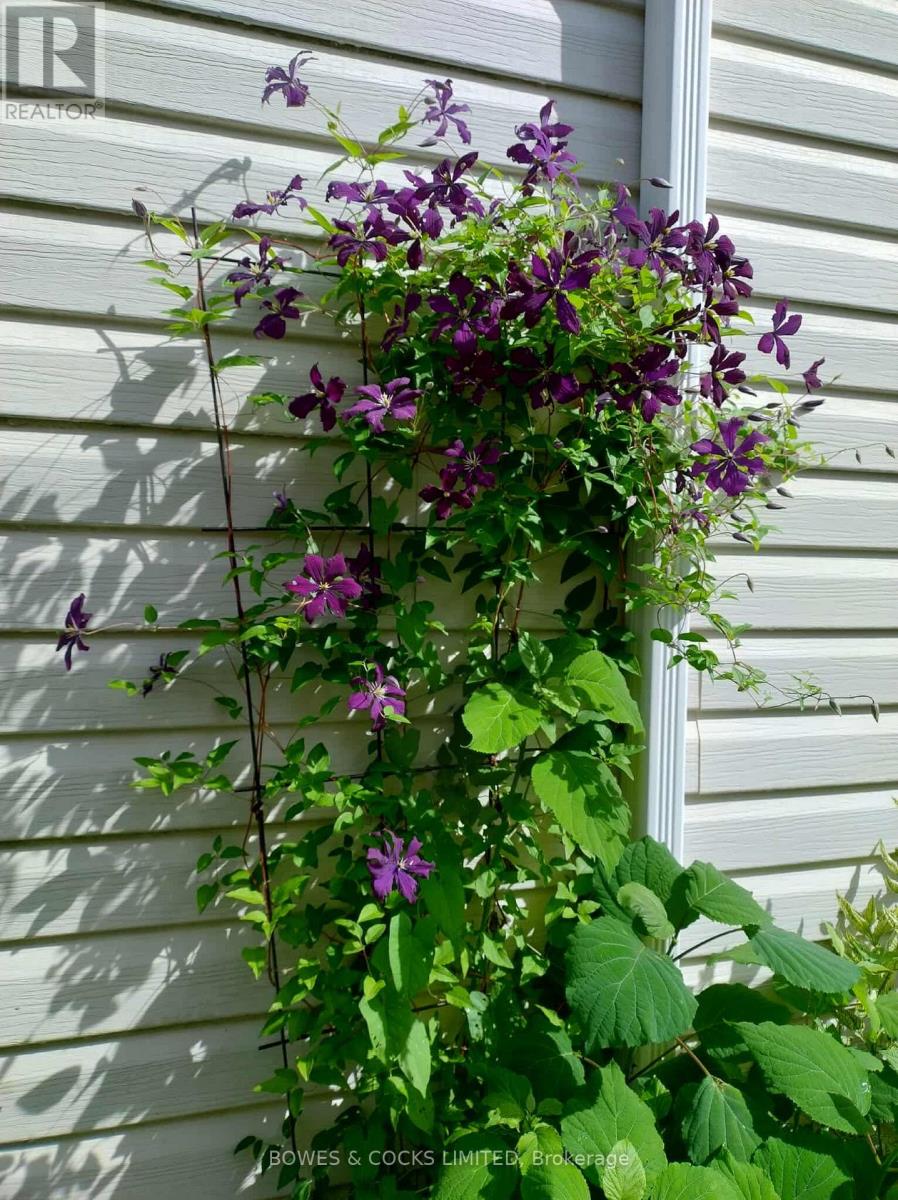 210 Farrier Crescent, Peterborough, Ontario K9L 0A6 - Photo 48 - X12489970