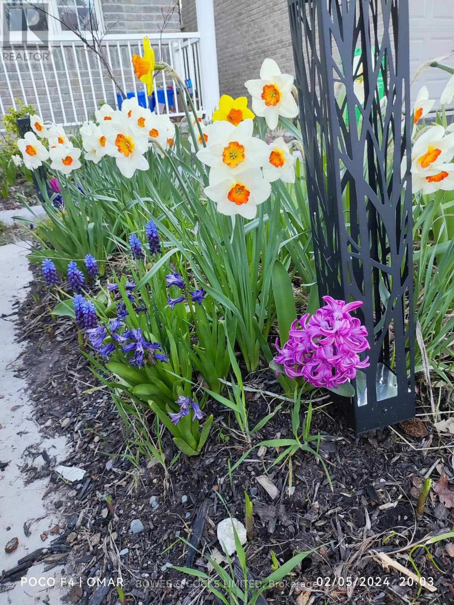 210 Farrier Crescent, Peterborough, Ontario K9L 0A6 - Photo 49 - X12489970