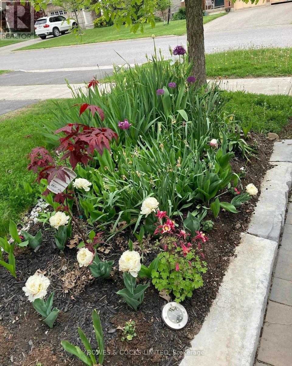 210 Farrier Crescent, Peterborough, Ontario K9L 0A6 - Photo 50 - X12489970