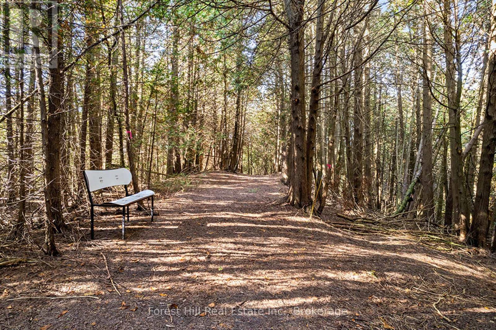 240 Lookout Drive, West Grey, Ontario  N0C 1H0 - Photo 15 - X12490686