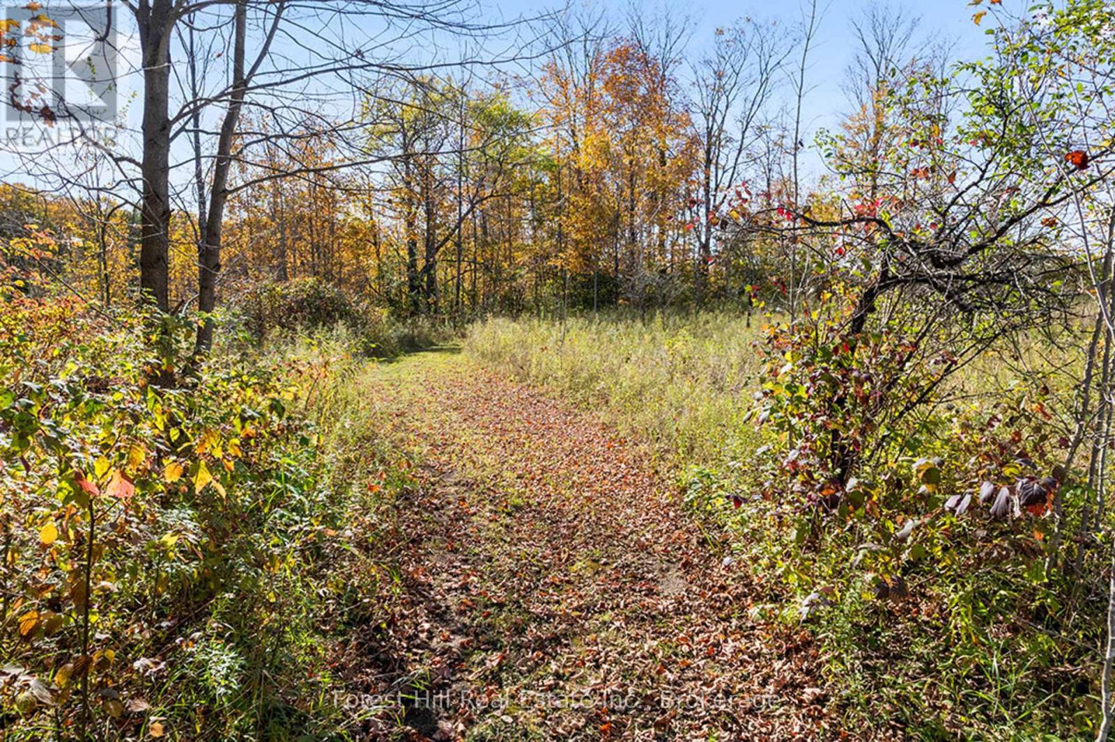 240 Lookout Drive, West Grey, Ontario  N0C 1H0 - Photo 17 - X12490686