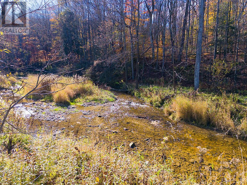 675 14th Street W, Owen Sound, Ontario  N4K 3Y5 - Photo 29 - X12490760