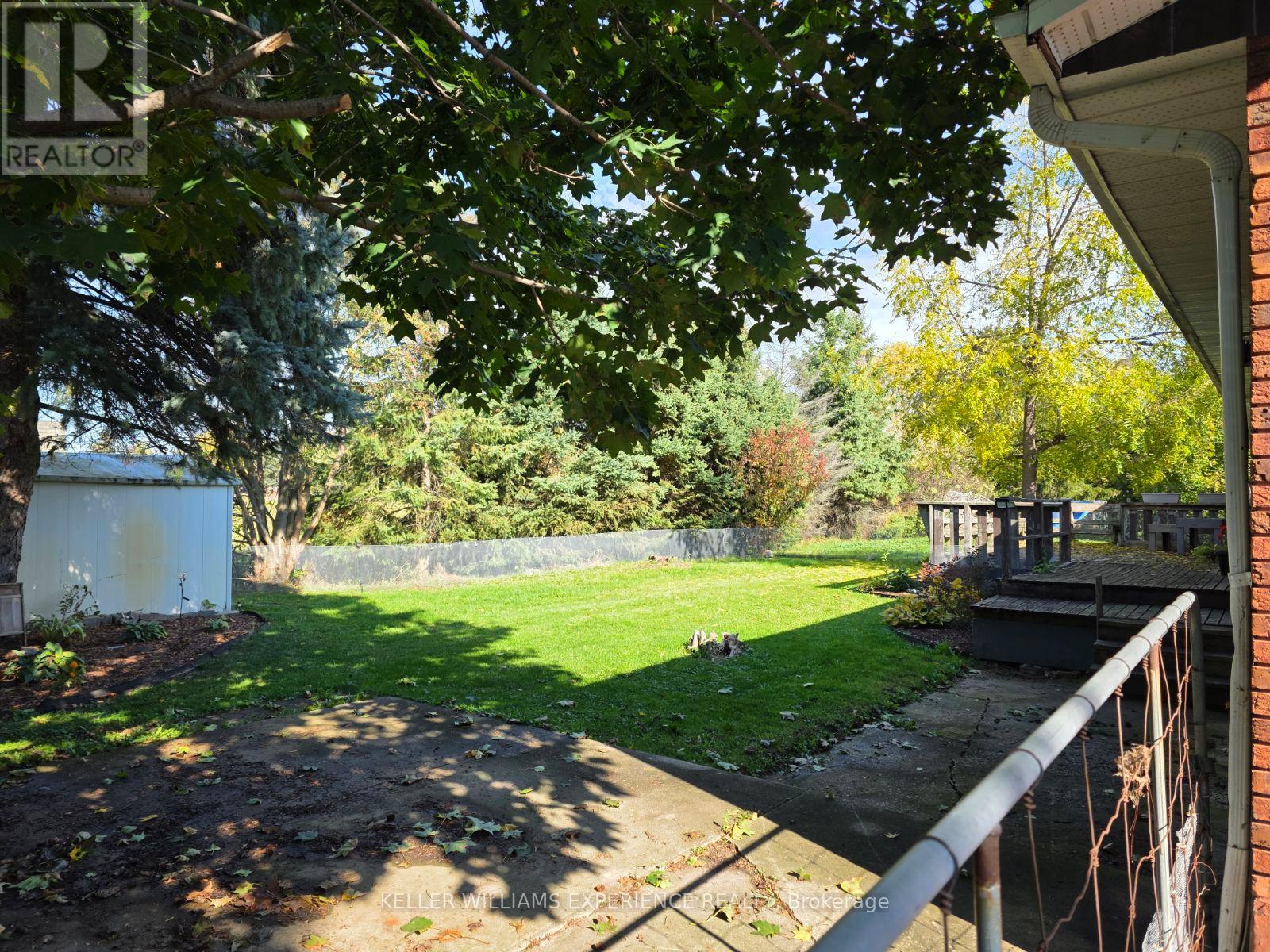 248 Young Street, New Tecumseth, Ontario  L9R 1V1 - Photo 4 - N12490368