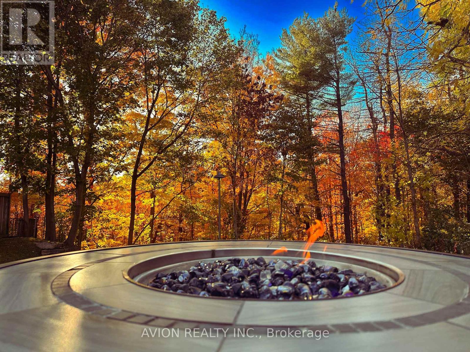 38 Purdon Drive, Toronto, Ontario  M3H 4X1 - Photo 4 - C12423540