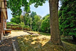 19 Skipton Court, Toronto, Ontario  M3M 2S9 - Photo 29 - W12490412