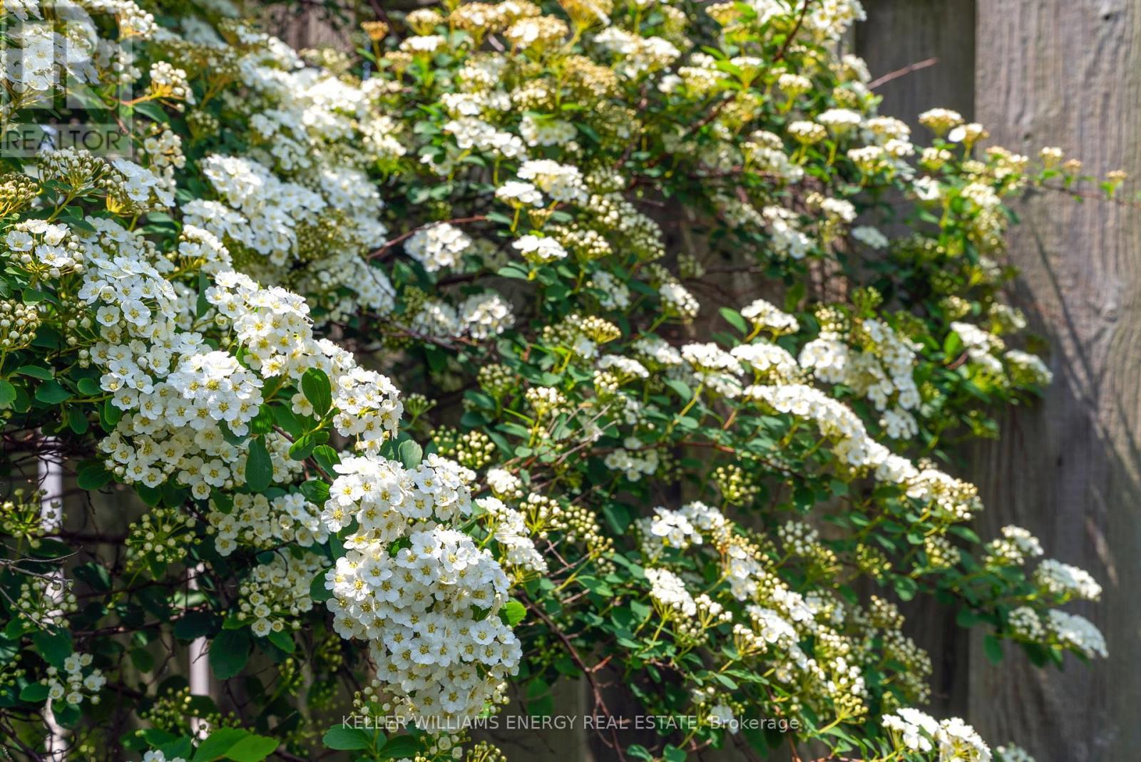 2 Resnik Drive, Clarington, Ontario  L1B 1K5 - Photo 31 - E12376513