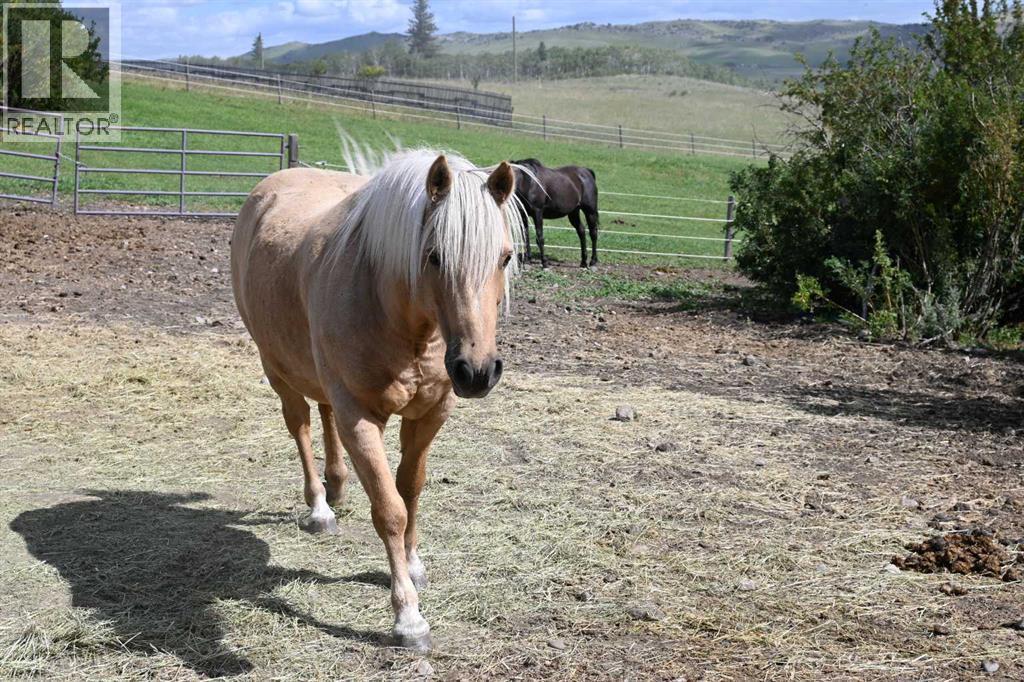 7404 Rge Rd 3-0, Rural Pincher Creek No. 9, Alberta  T0K 1H0 - Photo 37 - A2267487