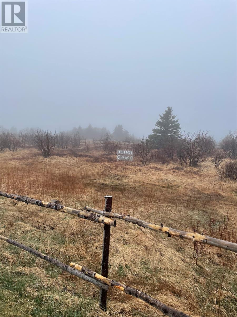 60-62 Murphy’s Lane, Bell Island, Newfoundland & Labrador  A0A 1H0 - Photo 6 - 1292150