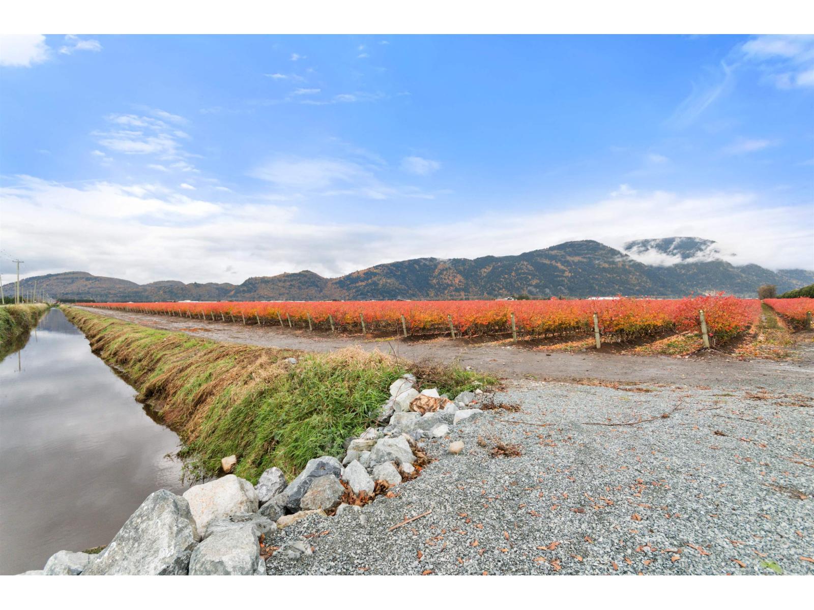 39965 No. 5 Road, Abbotsford, British Columbia  V3G 2G3 - Photo 29 - R3063087