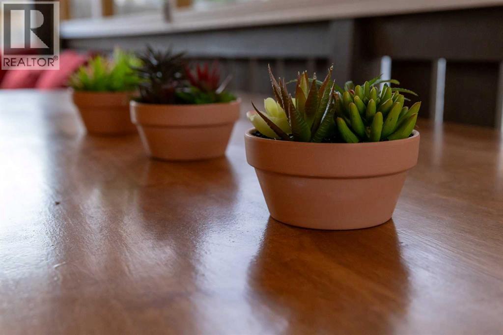 21 Watson Street, Red Deer, Alberta  T4N 5X7 - Photo 12 - A2267608