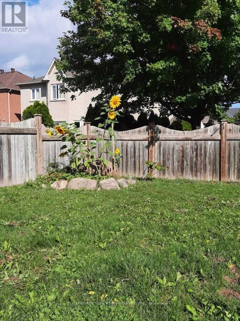 Lower - 8 Headford Avenue, Richmond Hill, Ontario  L4B 3V7 - Photo 11 - N12490842