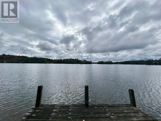 345 Island View Rd, Heyden, Ontario  P6A 5K7 - Photo 8 - SM252864