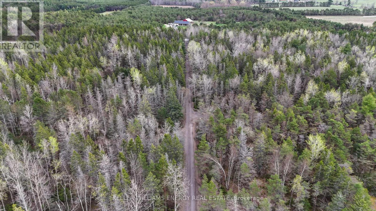 54 Zion Line, Cavan Monaghan, Ontario  L0A 1G0 - Photo 17 - X12482960