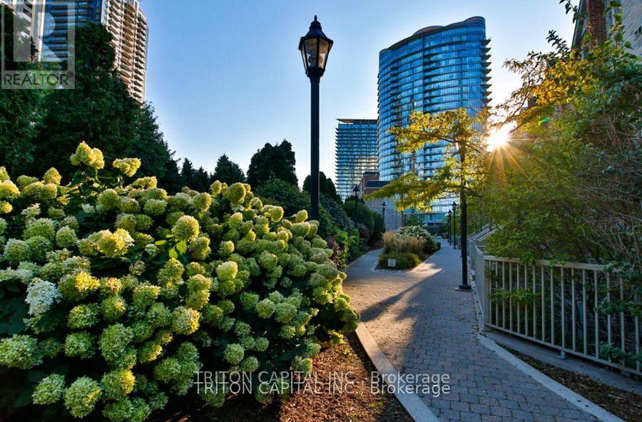 Th99 - 9 Windermere Avenue, Toronto, Ontario  M6S 5A4 - Photo 17 - W12490594