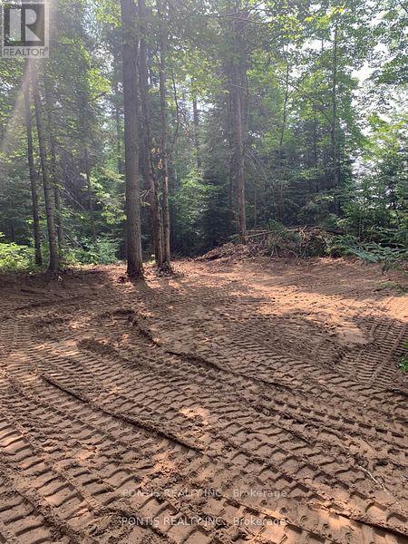 35 Almaguin Drive, Mcmurrich/monteith, Ontario  P0A 1C0 - Photo 7 - X12490548