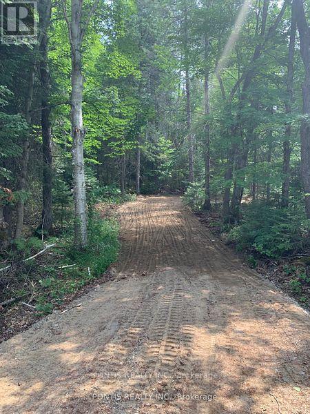 35 Almaguin Drive, Mcmurrich/monteith, Ontario  P0A 1C0 - Photo 10 - X12490562