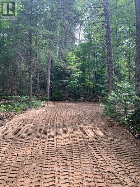 35 Almaguin Drive, Mcmurrich/monteith, Ontario  P0A 1C0 - Photo 5 - X12490562